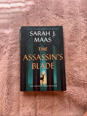 The Assassins Blade by Sarah J Mass